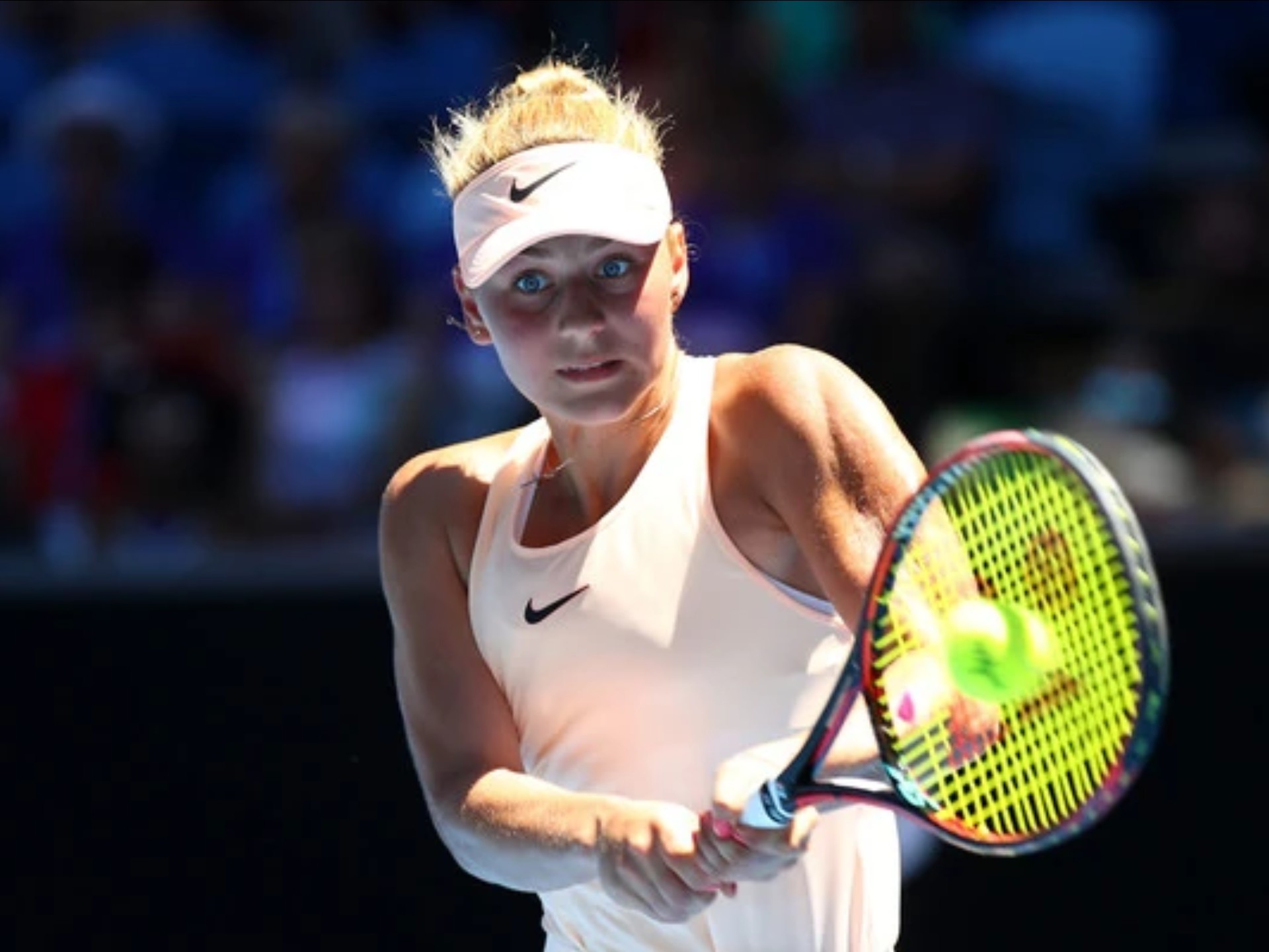 设立了一个 设立了一个