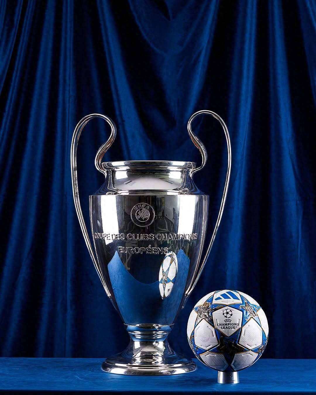 击背后的概 击背后的概