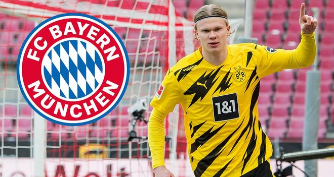 影与全局照 影与全局照